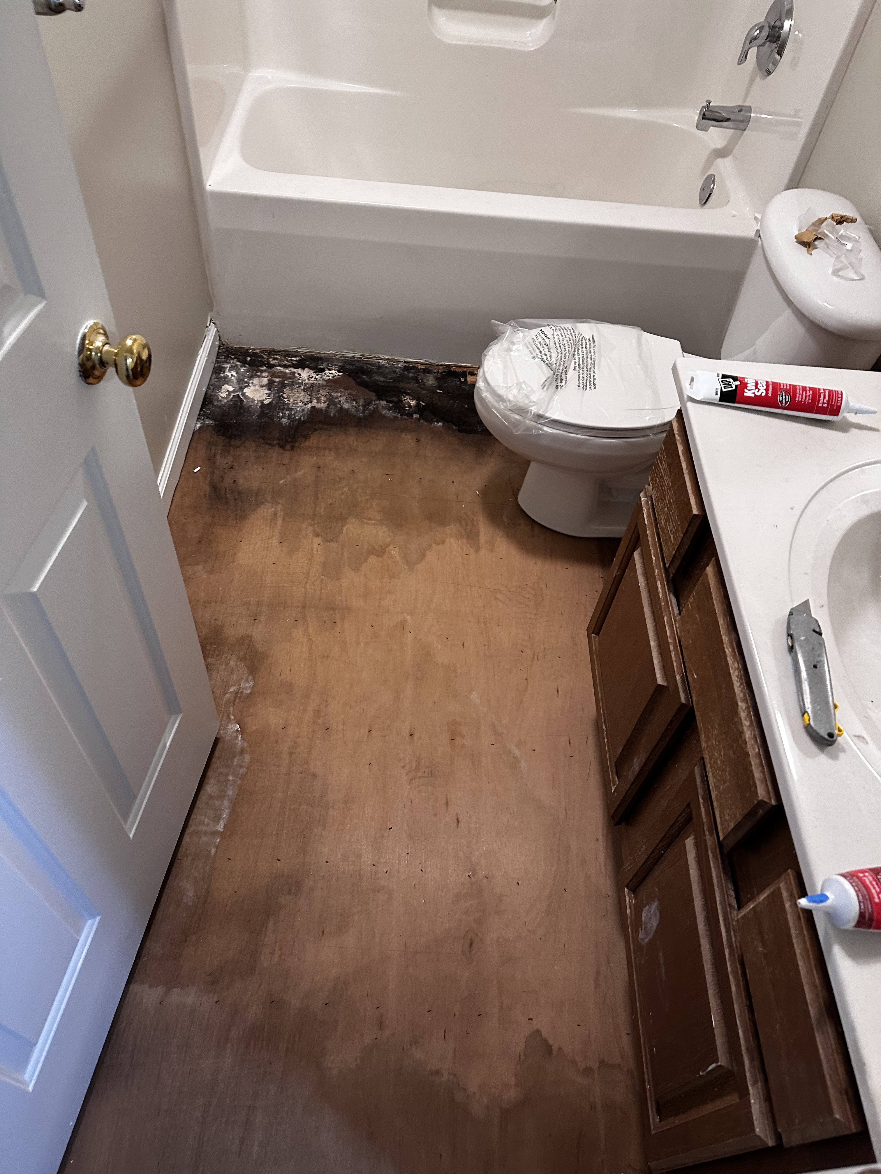 Toilet Floor - Before